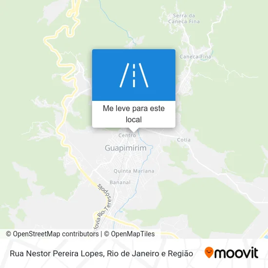 Rua Nestor Pereira Lopes mapa