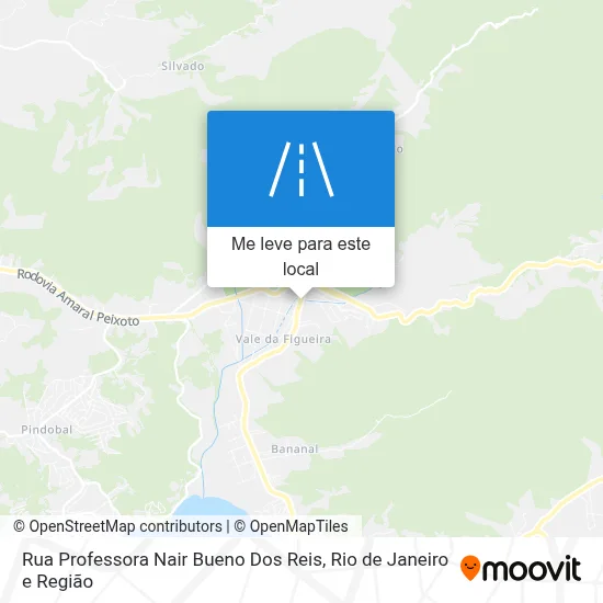 Rua Professora Nair Bueno Dos Reis mapa