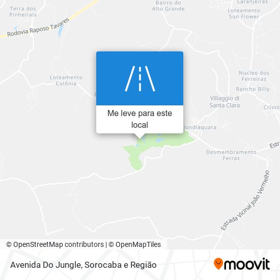 Avenida Do Jungle mapa