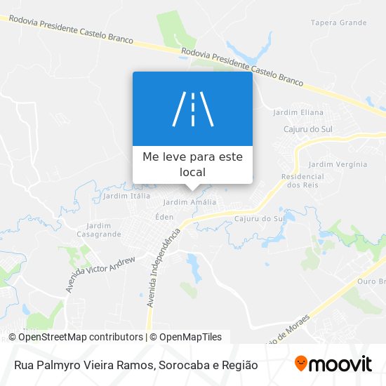 Rua Palmyro Vieira Ramos mapa