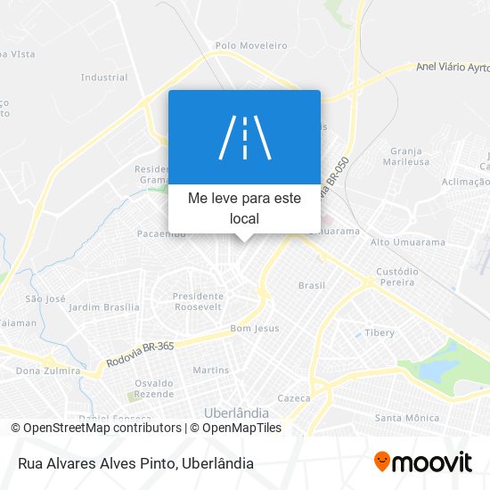 Rua Alvares Alves Pinto mapa