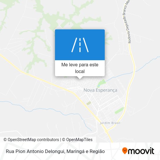 Rua Pion Antonio Delongui mapa