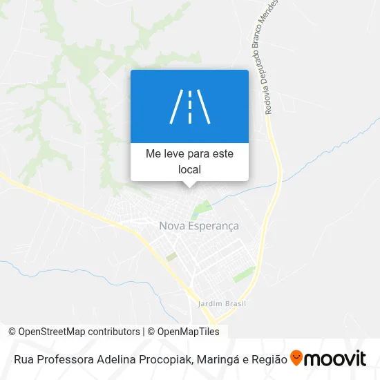 Rua Professora Adelina Procopiak mapa
