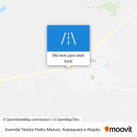 Avenida Tereza Pedro Maturo mapa
