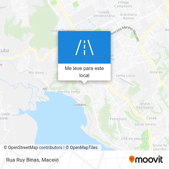 Rua Ruy Binas mapa