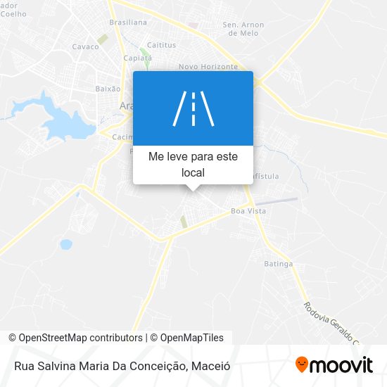 Rua Salvina Maria Da Conceição mapa