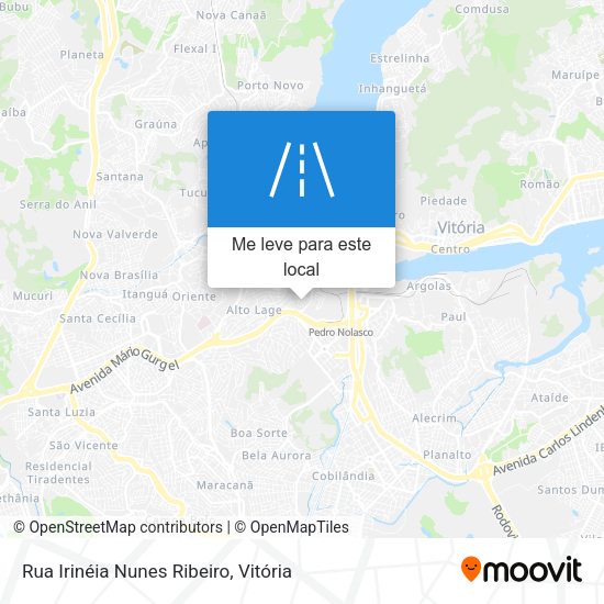 Rua Irinéia Nunes Ribeiro mapa
