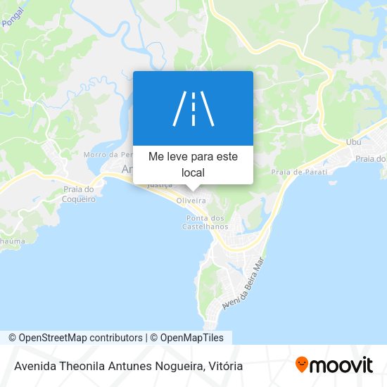 Avenida Theonila Antunes Nogueira mapa