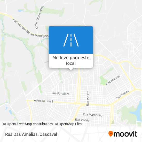 Rua Das Amélias mapa