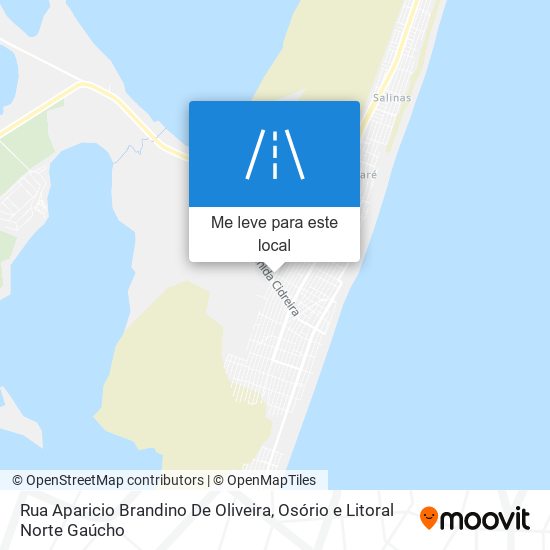 Rua Aparicio Brandino De Oliveira mapa