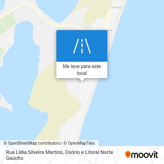 Rua Lidia Silveira Martins mapa