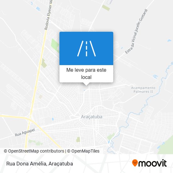 Rua Dona Amélia mapa