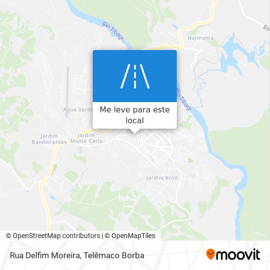 Rua Delfim Moreira mapa