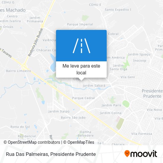 Rua Das Palmeiras mapa