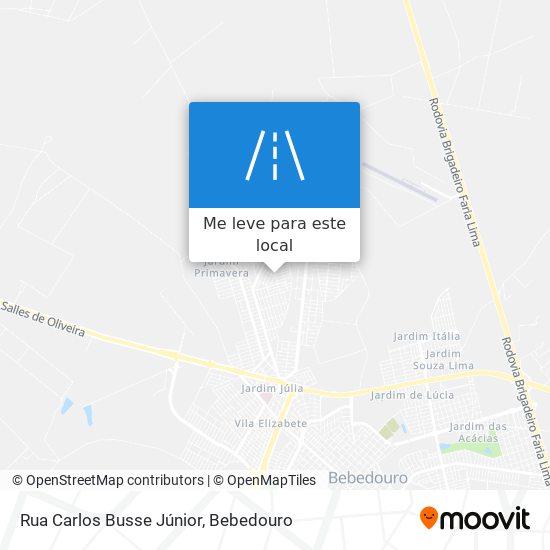 Rua Carlos Busse Júnior mapa