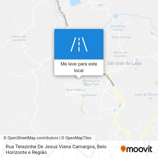 Rua Terezinha De Jesus Viana Camargos mapa