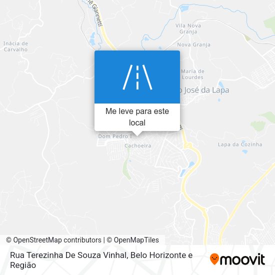 Rua Terezinha De Souza Vinhal mapa
