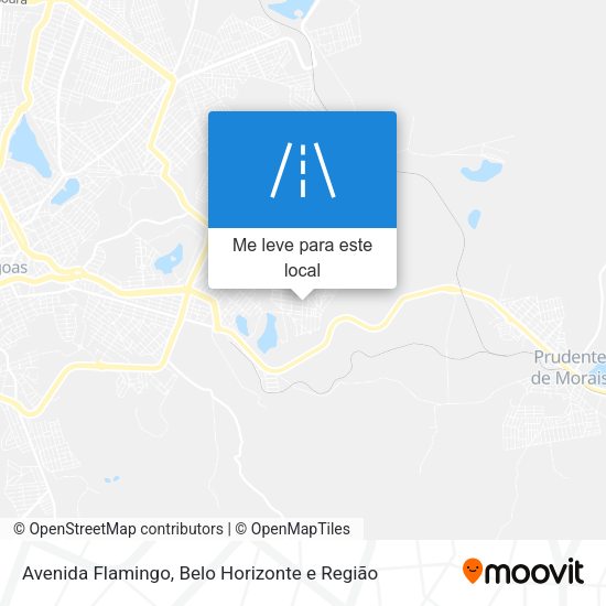 Avenida Flamingo mapa