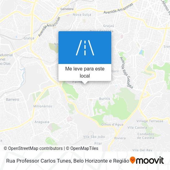 Rua Professor Carlos Tunes mapa