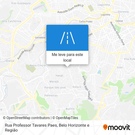 Rua Professor Tavares Paes mapa