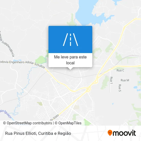Rua Pinus Ellioti mapa