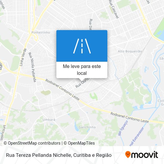 Rua Tereza Pellanda Nichelle mapa