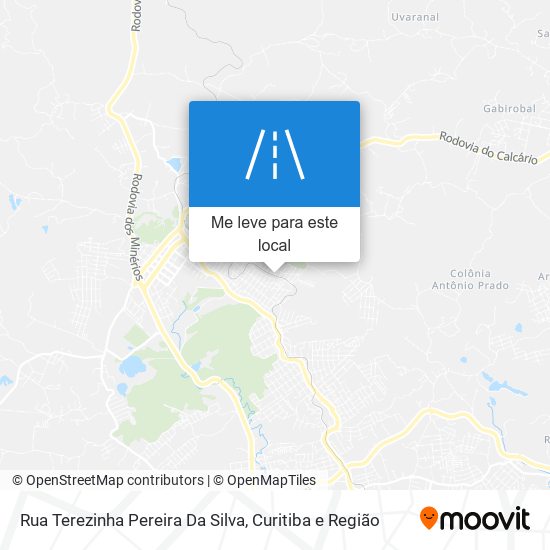 Rua Terezinha Pereira Da Silva mapa