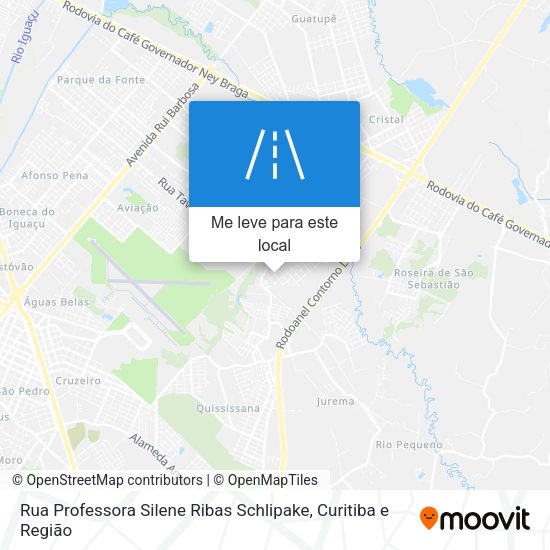 Rua Professora Silene Ribas Schlipake mapa