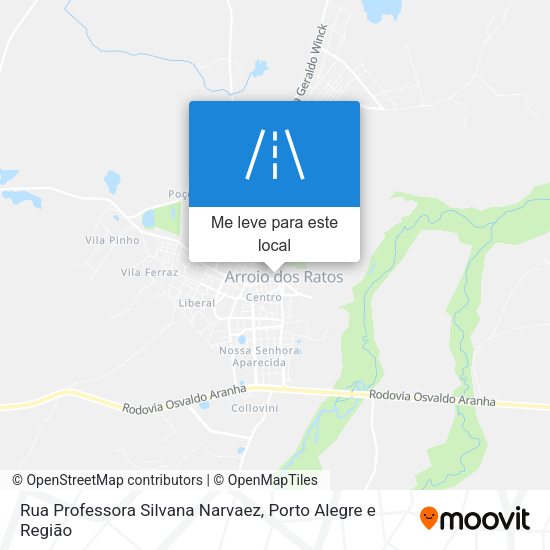 Rua Professora Silvana Narvaez mapa