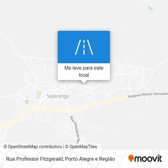Rua Professor Fitzgerald mapa