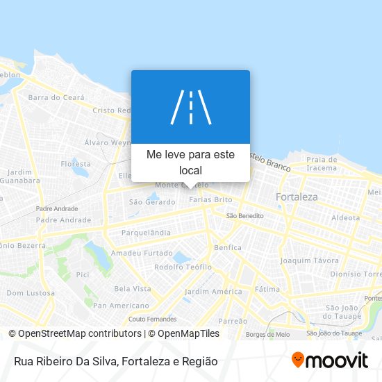 Rua Ribeiro Da Silva mapa