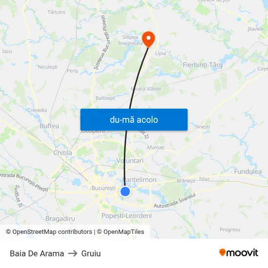 Harta de Baia De Arama către Gruiu