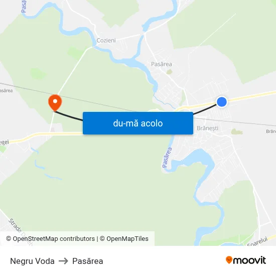 Harta de Negru Voda către Pasărea