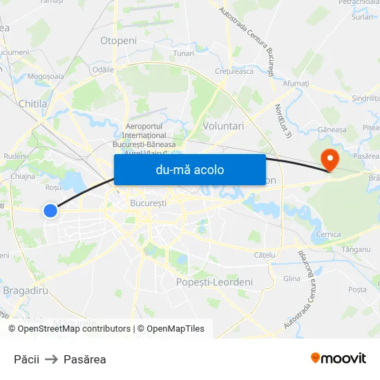 Harta de Păcii către Pasărea