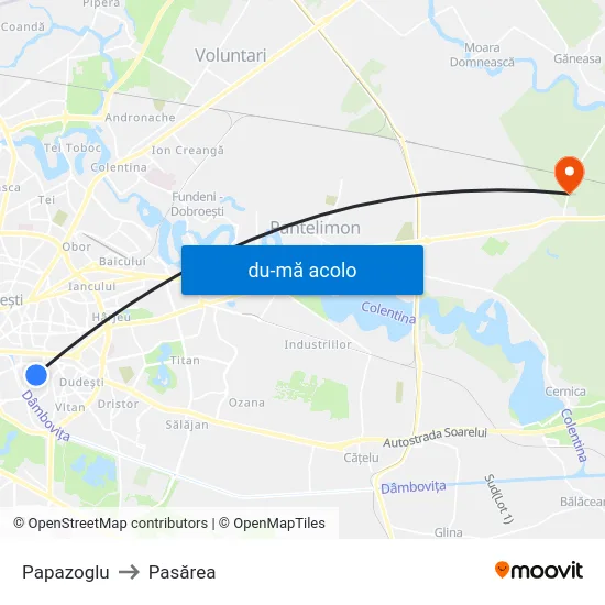 Harta de Papazoglu către Pasărea