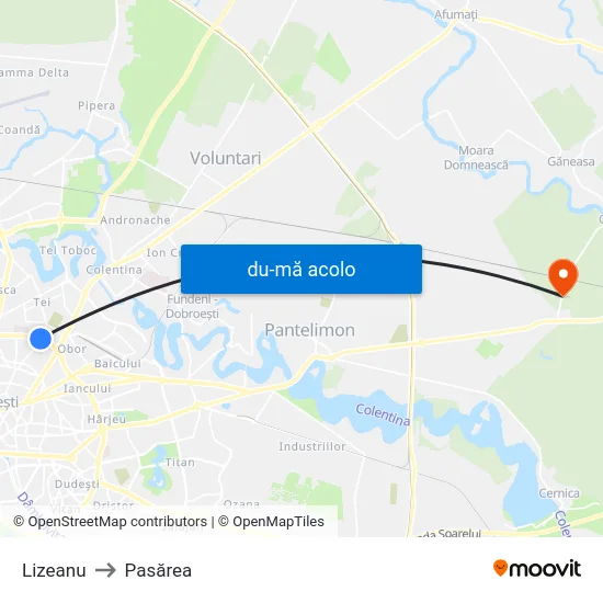Harta de Lizeanu către Pasărea