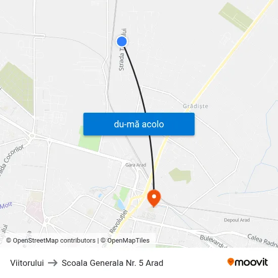 Harta de Viitorului către Scoala Generala Nr. 5 Arad