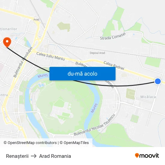 Harta de Renașterii către Arad Romania
