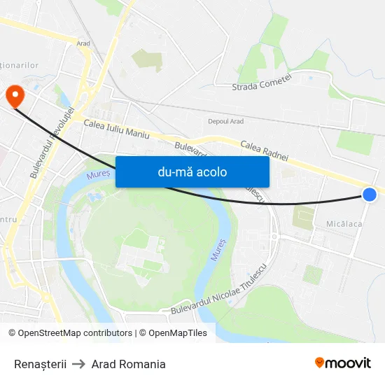 Harta de Renașterii către Arad Romania