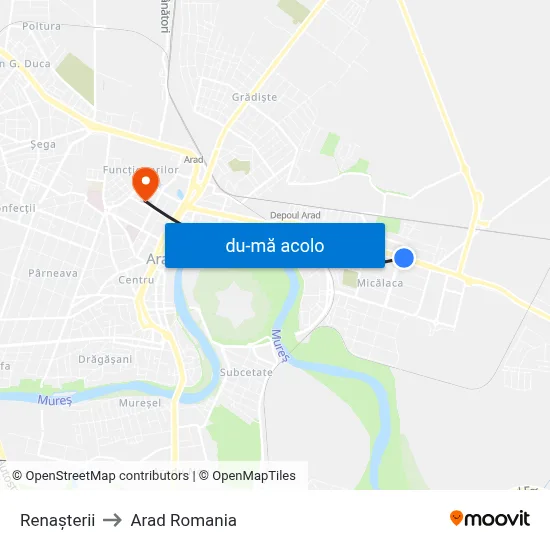 Harta de Renașterii către Arad Romania