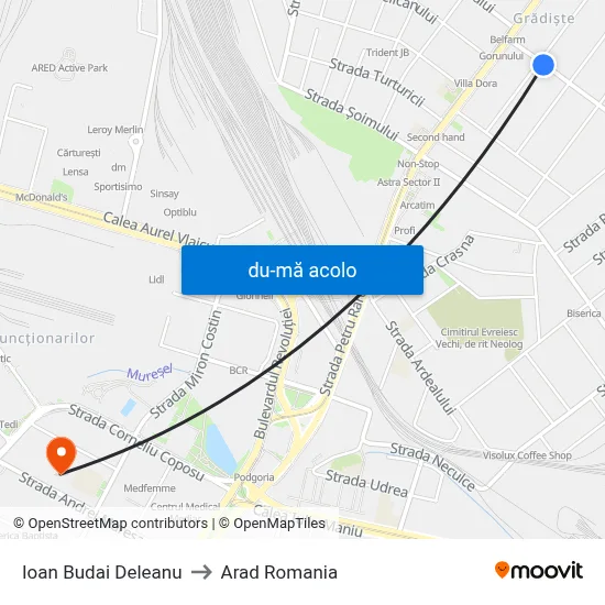 Harta de Ioan Budai Deleanu către Arad Romania