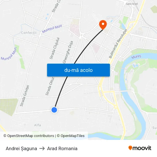 Harta de Andrei Șaguna către Arad Romania
