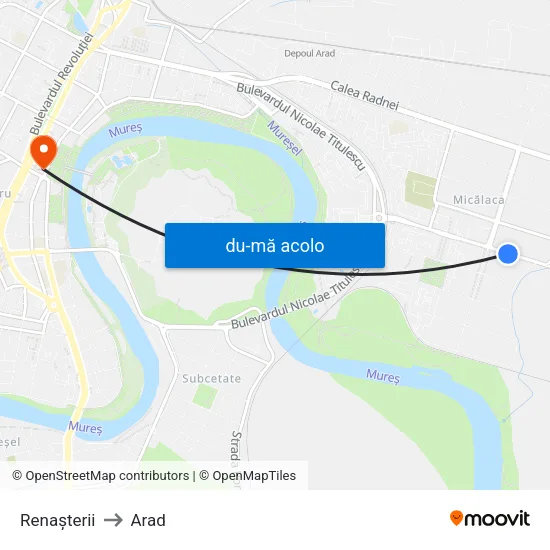 Harta de Renașterii către Arad