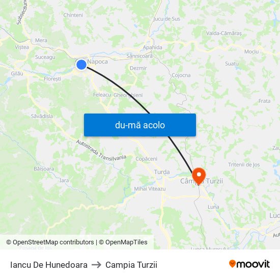 Harta de Iancu De Hunedoara către Campia Turzii