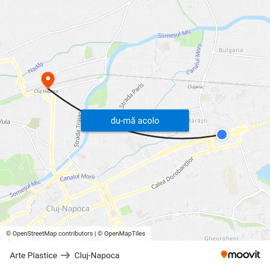 Harta de Arte Plastice către Cluj-Napoca