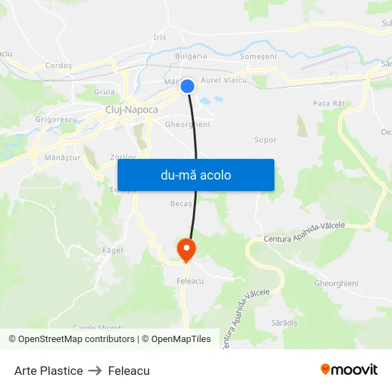 Harta de Arte Plastice către Feleacu