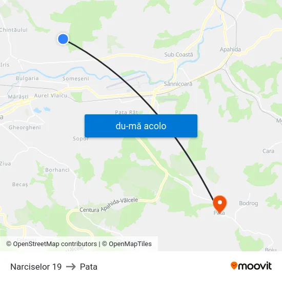 Harta de Narciselor 19 către Pata