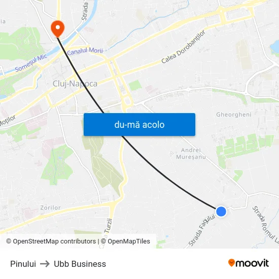 Harta de Pinului către Ubb Business