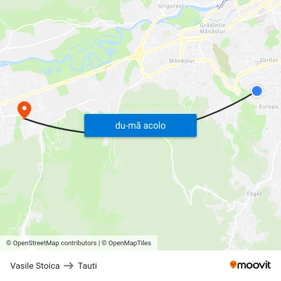 Harta de Vasile Stoica către Tauti