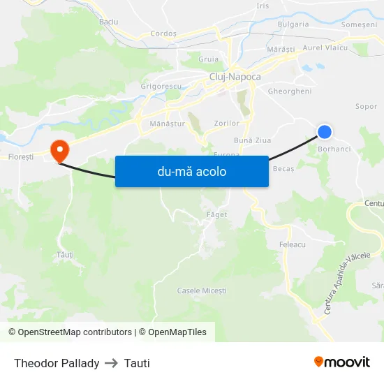 Harta de Theodor Pallady către Tauti